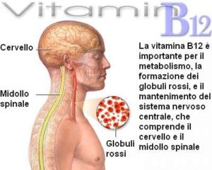 vitamina B12