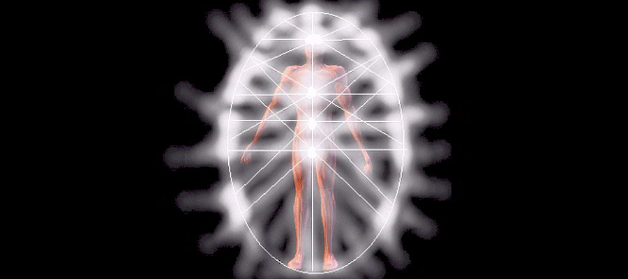 vibrazioni del corpo umano