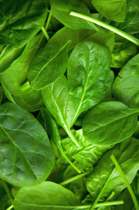 spinaci spinaci