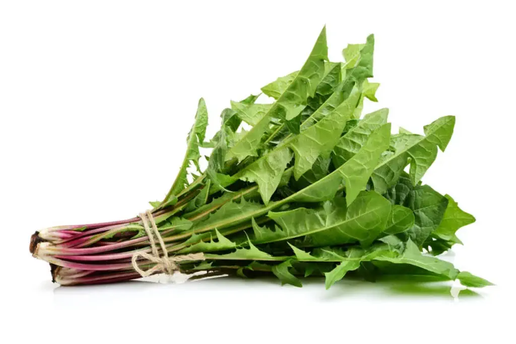 Succhi di piante