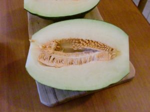 Melone Piel de Sapo