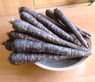 Carota nera