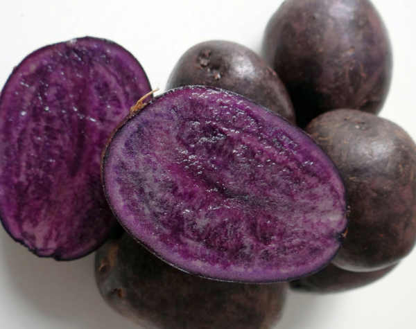 patate viola vitelotte